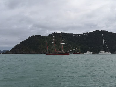 IMG_20200309_102754.jpg